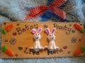 2 character 3d Bunny Rabbit Hutch Run Room Home  House Cage Personalised Plaque Sign